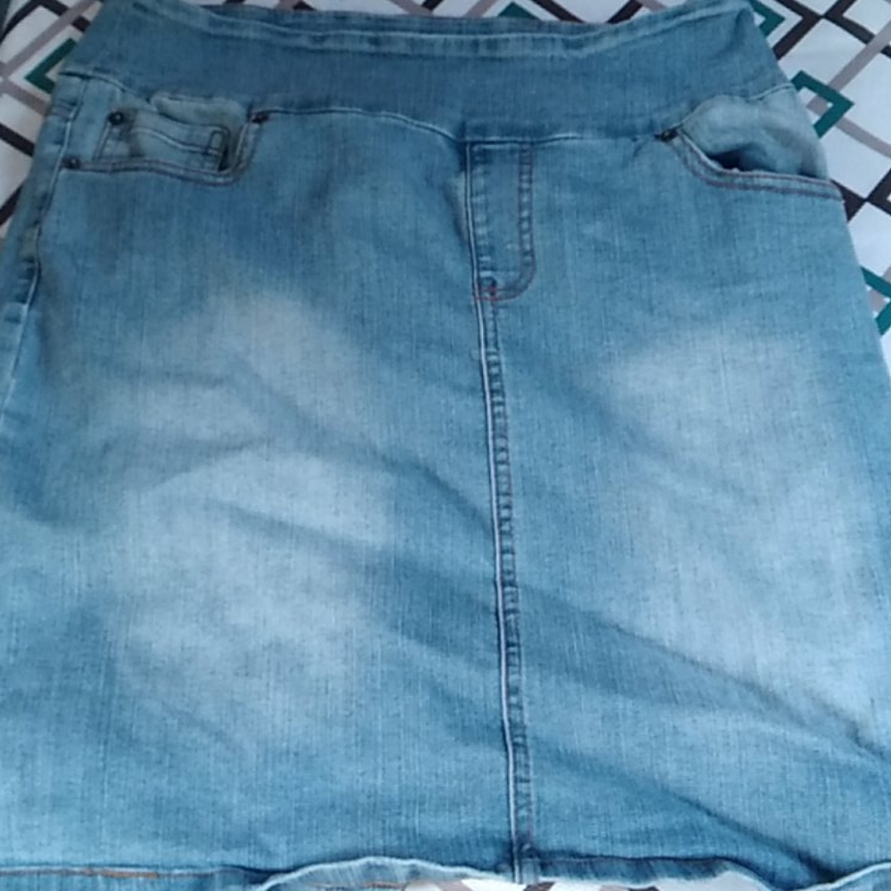 Chadwicka of Boston skirt